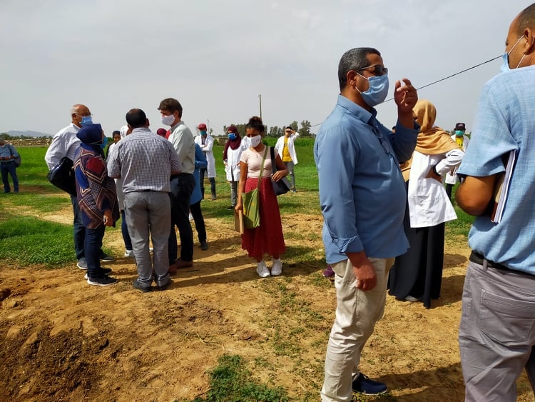 Projet Ferme Digitale